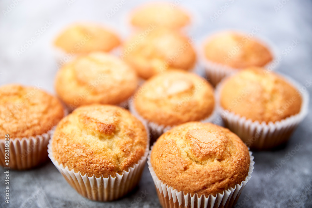 Top view of a group of delicious cupcakes Top view of a group of delicious cupcakes
