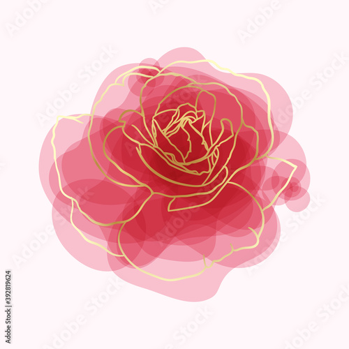 beautiful rose watercolor imitation hand-painted with golden outline isolated on white background photo