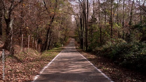 Empty road in autumn, Tuscany, Italy photo