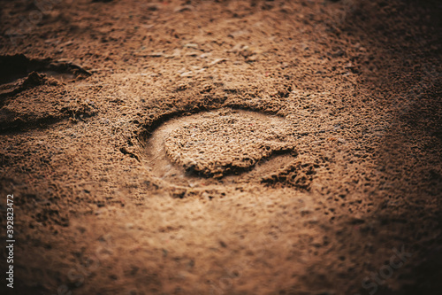 A horseshoe, worn on the hoof of a horse that ran through this area, was imprinted on the sand in the light.  Outdoor riding arena.