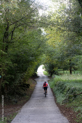 biking in a path between fields and green trees