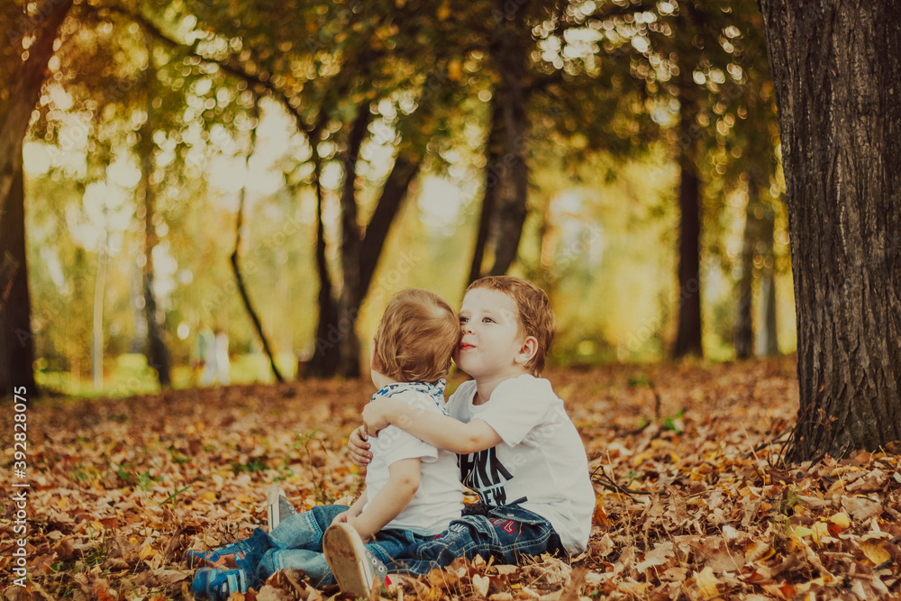 children in the autumn park among the foliage. 2 brothers hug. Weathers walk in the park. Brotherly love and friendship children in the autumn park among the foliage. 2 brothers hug. Weathers walk in the park. Brotherly love and friendship