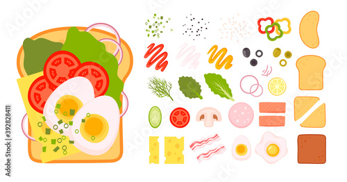 Sandwich top view. Burger toast for healthy breakfast or lunch on white background. Fast food elements, flat vector illustration.