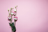 Branch of pink eustoma flowers on pink background