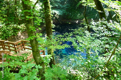 Fototapeta Naklejka Na Ścianę i Meble -  コバルトブルーの水を湛える青池。白神山地に位置する十二湖の名所。深浦、青森、日本。9月中旬。