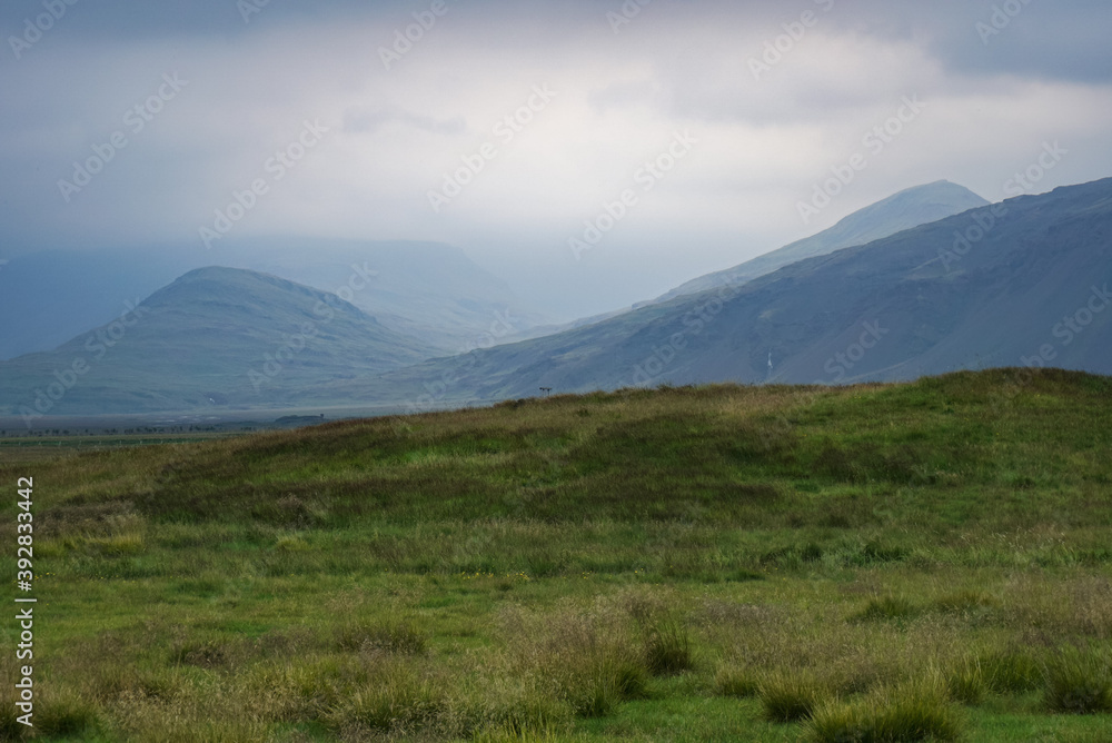 misty landscape of Iceland, a bright green field and mountains in the fog