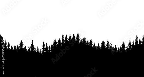 Silhouette of forest. Seamless forest on hills. Beautiful trees are separated from each other. Vector illustration.