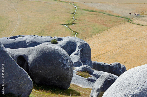 Kura Tawhiti - Castle Hill Conservation Area New Zealand photo