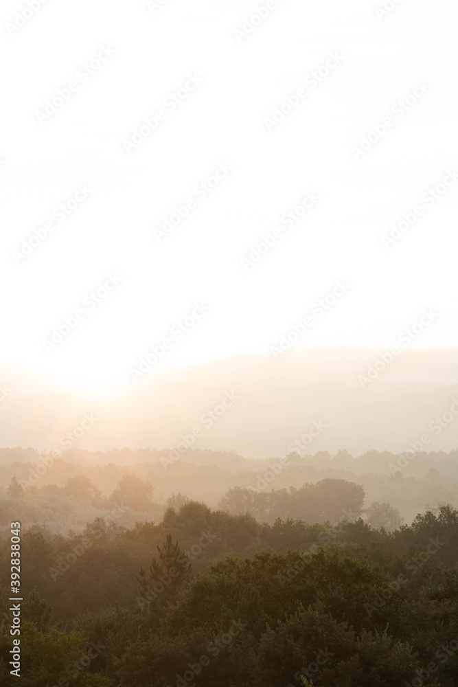 Fototapeta premium misty morning in the mountains
