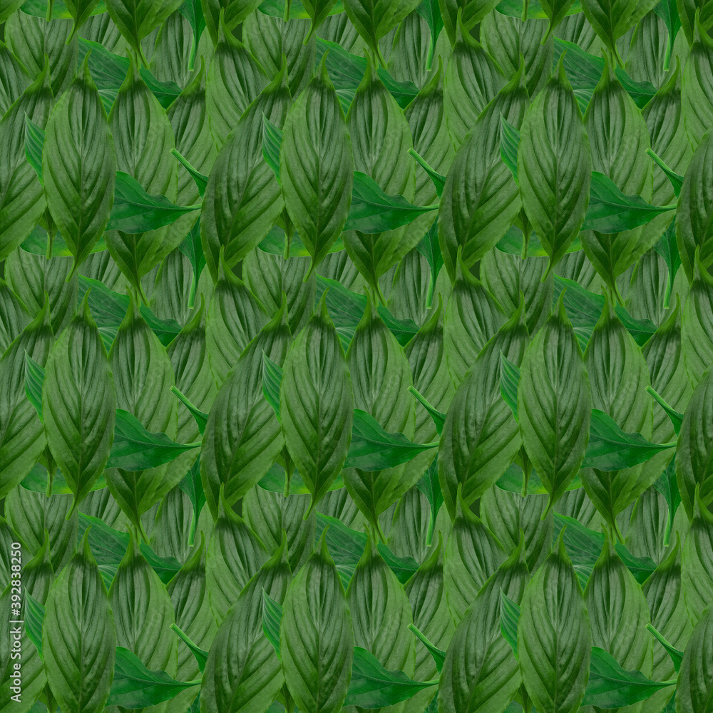 Abstract natural background from green leaves. Seamless pattern. Abstract natural background from green leaves. Seamless pattern.