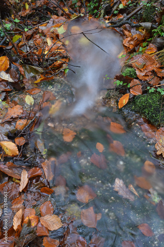 Stream flowing through an Autumnal Landscape