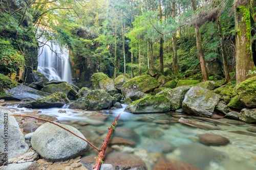 桑ノ木の滝　和歌山県新宮市　Kuwanoki waterfall  Wakayama-ken Shingu- city photo