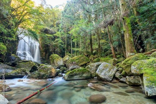 桑ノ木の滝　和歌山県新宮市　Kuwanoki waterfall  Wakayama-ken Shingu- city photo