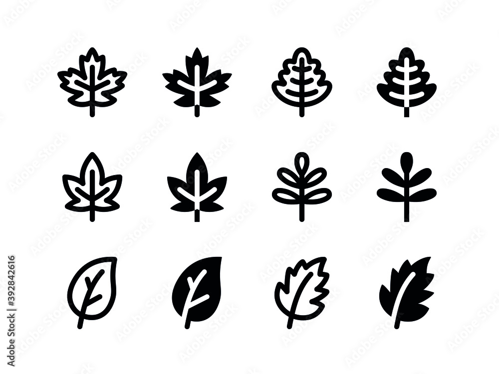 Simple Set of Vector Line and Glyph Icons Maple Leaf