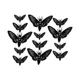 Moth pattern. Black and gray.