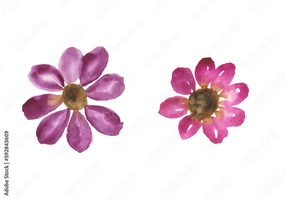 Obraz premium Two abstract lilac and red aquarelle flowers isolated on white background. Watercolor hand drawing illustration for print, card, poster, pattern. Simple and cute floral design.