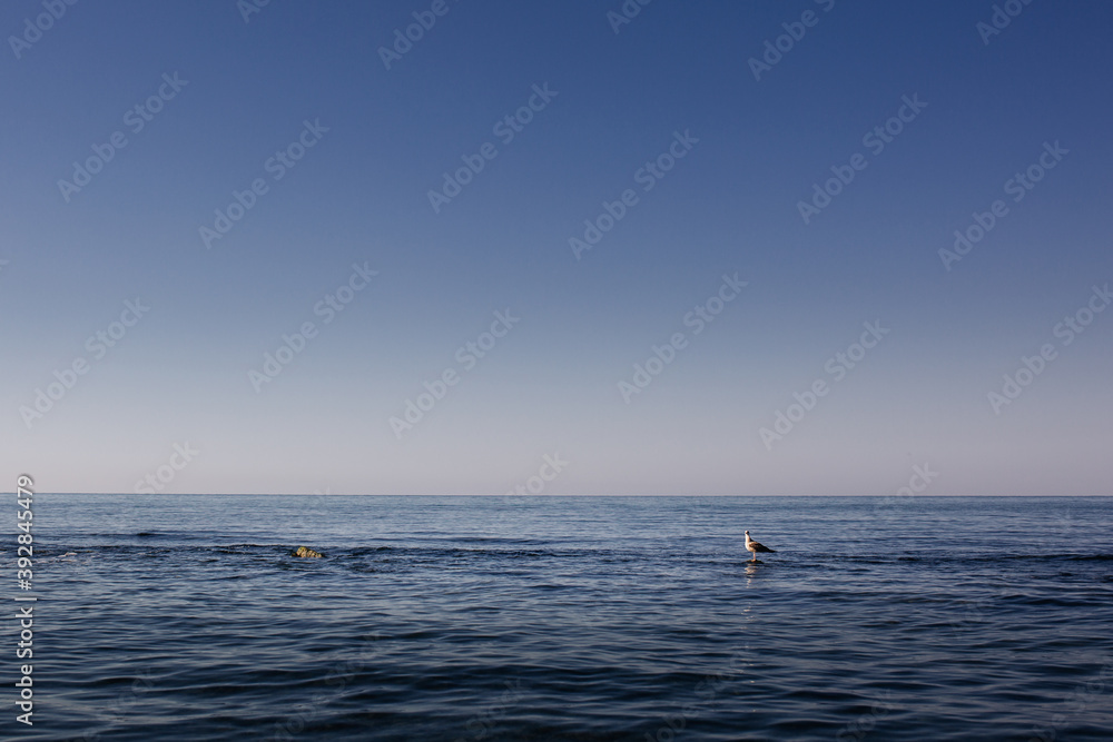 Seagull alone sits on a rock protruding from the water, surrounded by sea and sky