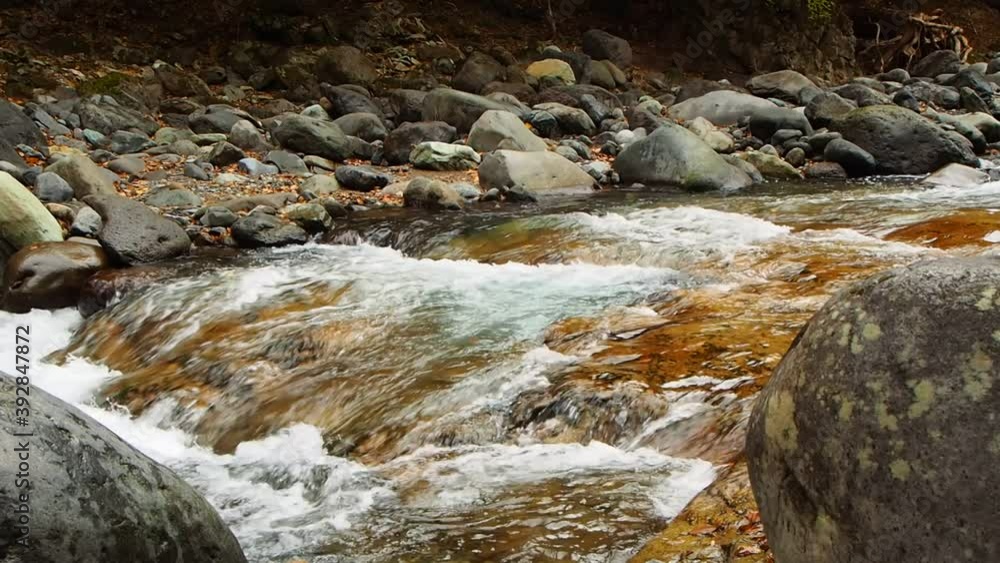 River flowing through a valley with autumn leaves (Tochigi, Japan)
