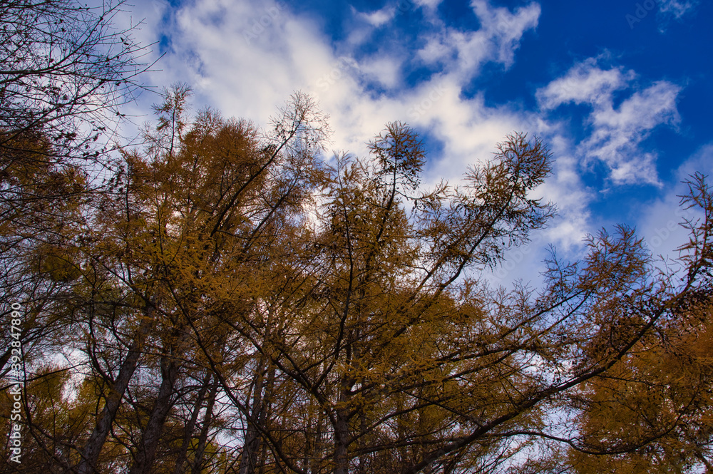 鉱山施設の廃墟　札幌市