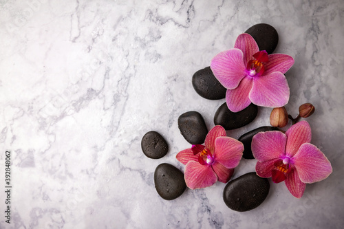 Tela spa stones and pink orchid flowers on white marble background