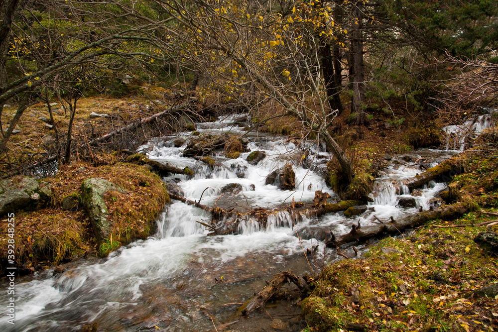 torrent d'eau vive dans la montagne catalane