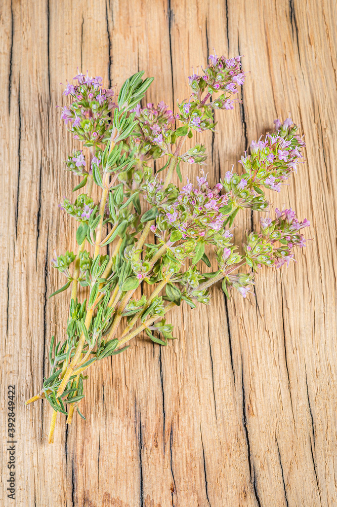 bouquet de thym sur fond bois clair naturel bouquet de thym sur fond bois clair naturel