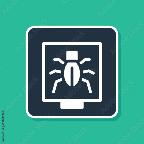 Blue Insects in a frame icon isolated on green background. Herbarium. Vector.