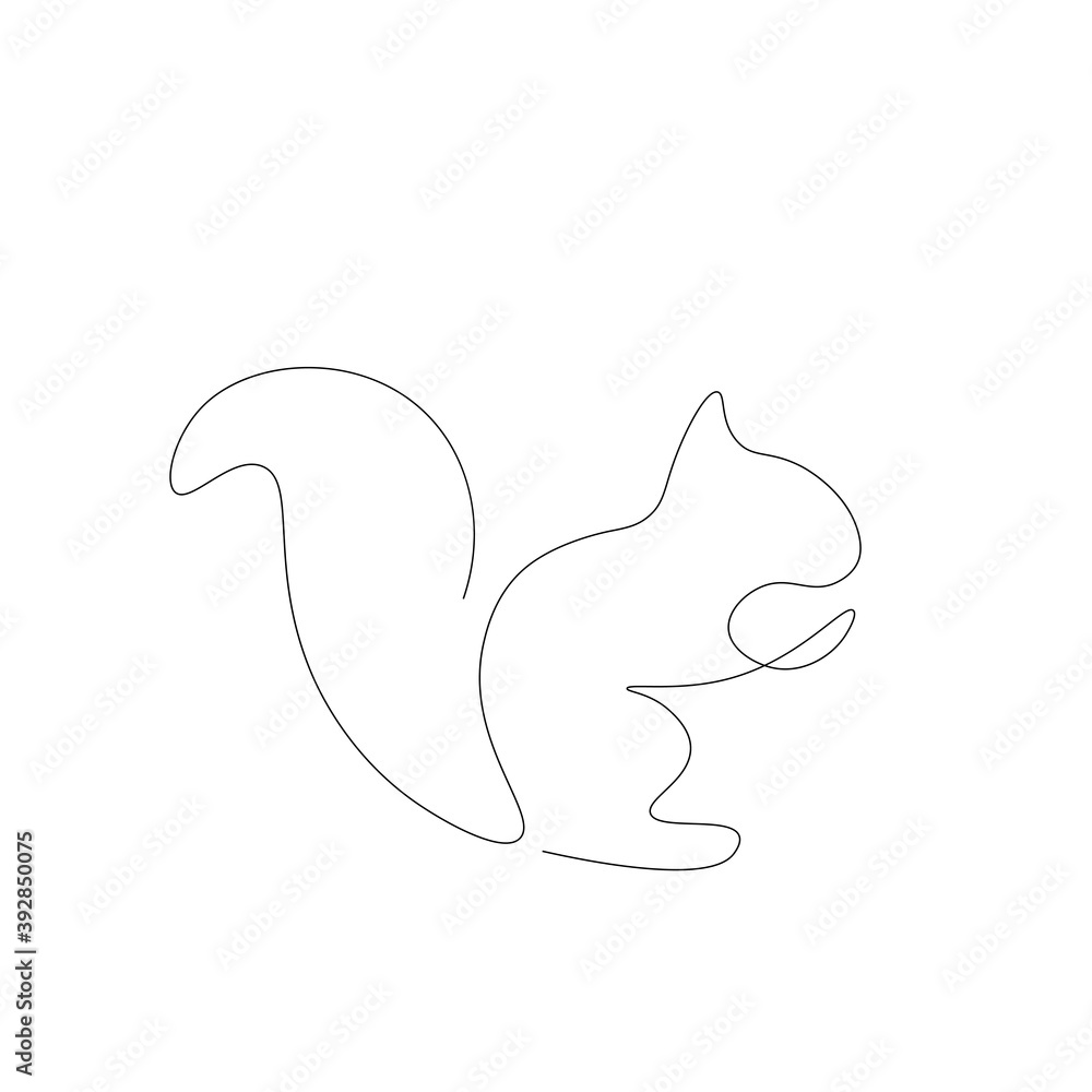 Squirrel on white background. Vector illustration Squirrel on white background. Vector illustration