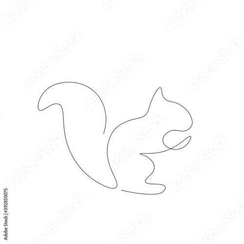 Squirrel on white background. Vector illustration