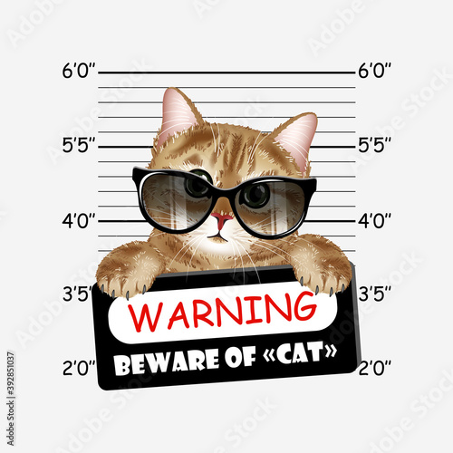Detailed Brown Cat. Warning beware of cat. Template for card, poster, banner, print for t-shirt