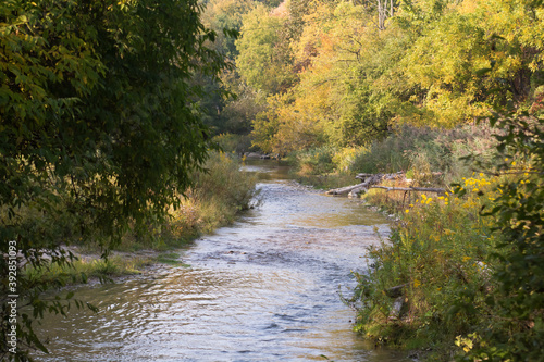 Gently flowing section for the Bowmanville Creek, Ontario photo