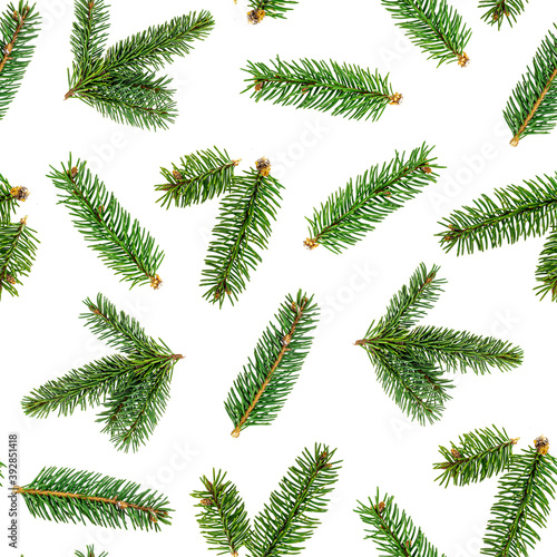 Top view flat lay green fir tree spruce seamless pattern on white background.