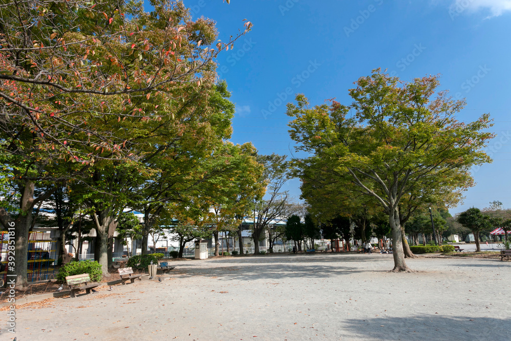 高砂北公園(東京都葛飾区高砂) 高砂北公園(東京都葛飾区高砂)