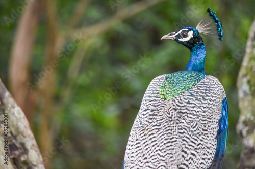 Wildlife From Wipattu 