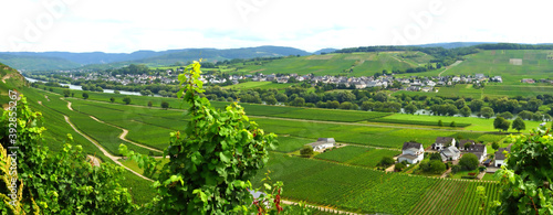 Panorama Brauneberg links und Kesten an der Mosel
 photo