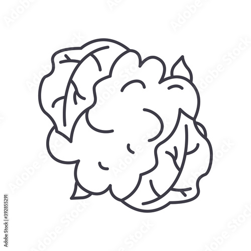 Cauliflower icon, linear isolated illustration, thin line vector, web design sign, outline concept symbol with editable stroke on white background.