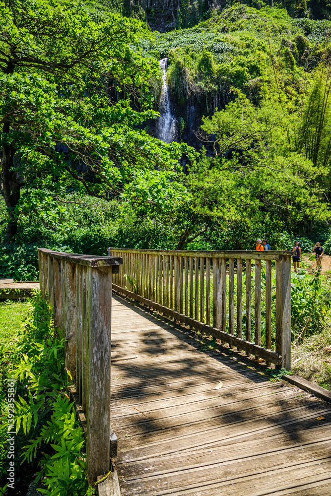Wooden footbridge of Anse des Cascades on Reunion Island Wooden footbridge of Anse des Cascades on Reunion Island