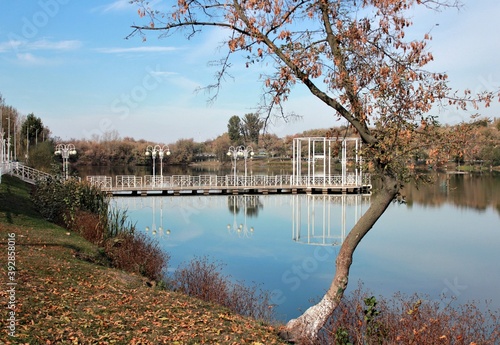 Wallpaper Mural Autumn trees and pier are reflected in the city pond on a Sunny day Torontodigital.ca
