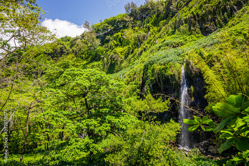 Anse des Cascades waterfalls in Sainte-Rose on Reunion Island