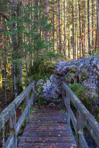 Brücke im Zauberwald in der Ramsau, die an einem Felsen endet