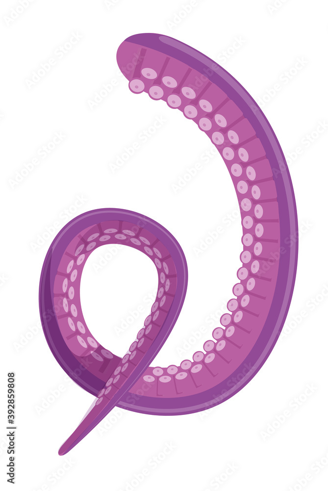 Cartoon octopus tentacle isolated on white background Cartoon octopus tentacle isolated on white background