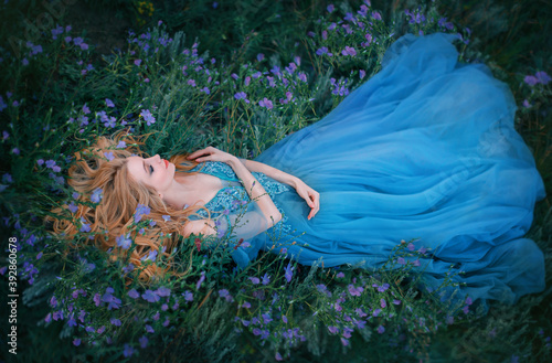Принти на полотні Art photo fairy tale sleeping beauty