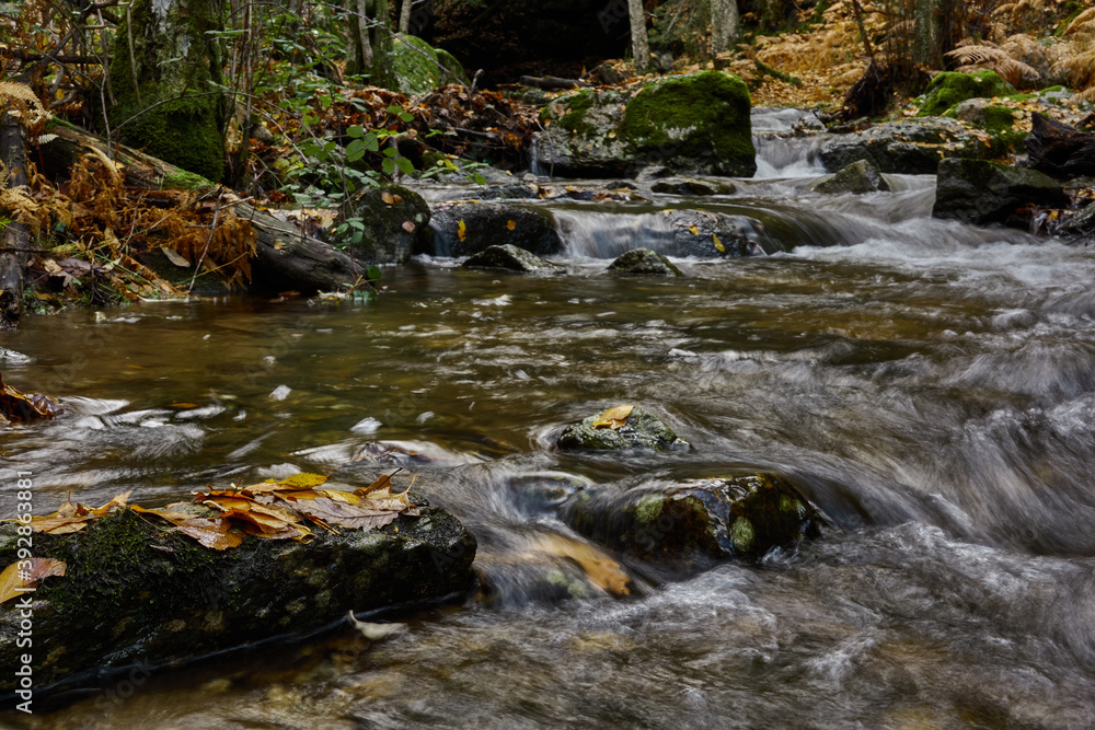 Fototapeta premium Small waterfalls in the bed of the Sestil de Maíllo stream. Autumn in the Sierra de Guadarrama National Park. Madrid's community. Spain