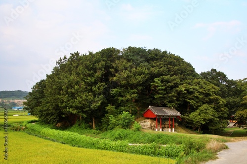 landscape with a house and trees