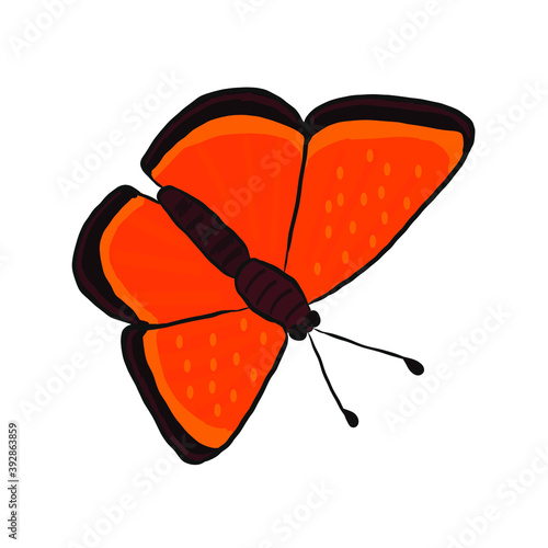 Orange butterfly with spread wings.  Colored vector illustration for design, cards, posters, as a design element or print.