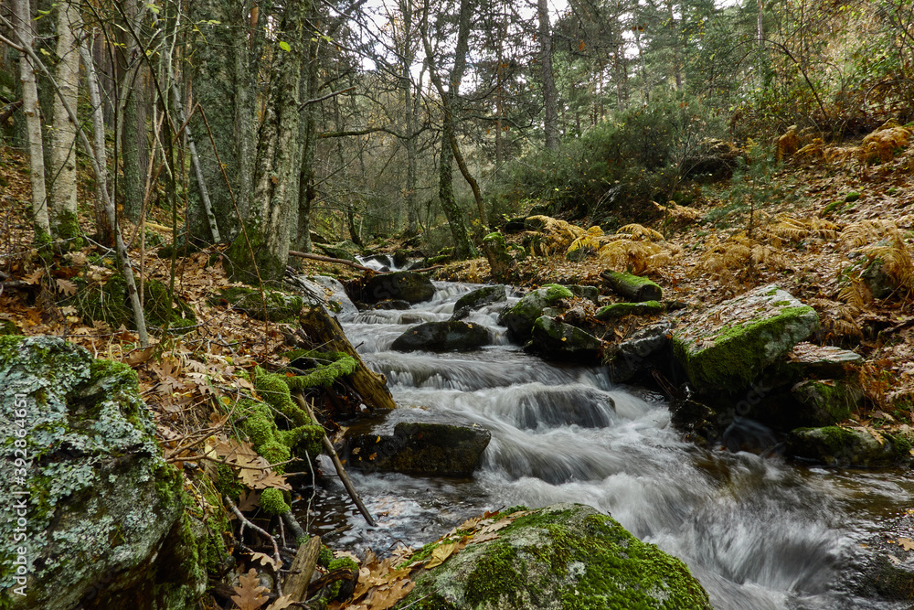 Fototapeta premium Small waterfalls in the bed of the Sestil de Maíllo stream. Autumn in the Sierra de Guadarrama National Park. Madrid's community. Spain
