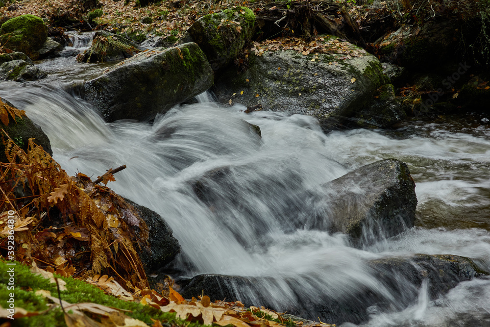 Fototapeta premium Small waterfalls in the bed of the Sestil de Maíllo stream. Autumn in the Sierra de Guadarrama National Park. Madrid's community. Spain