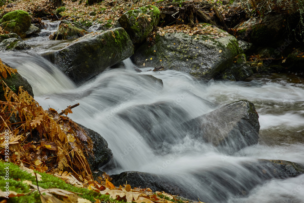 Small waterfalls in the bed of the Sestil de Maíllo stream. Autumn in the Sierra de Guadarrama National Park. Madrid's community. Spain Small waterfalls in the bed of the Sestil de Maíllo stream. Autumn in the Sierra de Guadarrama National Park. Madrid's community. Spain