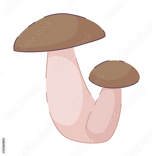 Autumn edible mushroom isolated on white background