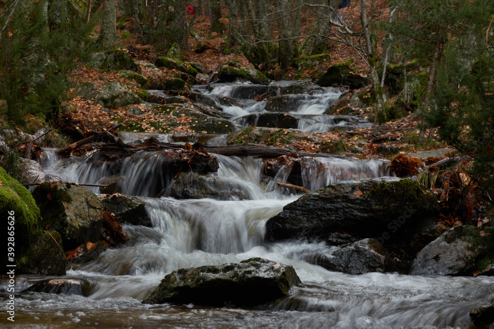 Small waterfalls in the bed of the Sestil de Maíllo stream. Autumn in the Sierra de Guadarrama National Park. Madrid's community. Spain